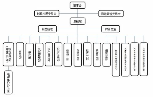 中國中車旗下46家子公司軟件開發(fā)組織架構(gòu)概覽